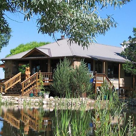 Starry Nights Ranch Bed & Breakfast Mancos Eksteriør bilde